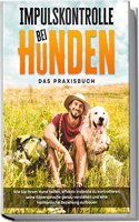 Impulskontrolle bei Hunden - Das Praxisbuch: Wie Sie Ihrem Hund helfen, effektiv Instinkte zu kontrollieren, seine Kopersprache genau verstehen und eine harmonische Beziehung aufbauen (German Edition)