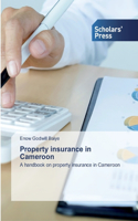 Property insurance in Cameroon