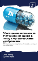 Обогащение шпината за счет внесения цинк&#1072