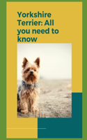 Yorkshire Terrier: All you need to know!