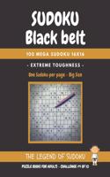 Sudoku Black Belt: 100 Mega Sudoku 16x16 - Extreme Toughness - Puzzle Books for Adults - Challenge #4: Big Size - One Sudoku per Page - Include Solutions