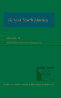Flora of North America: Volume 10, Magnoliophyta: Proteaceae to Elaeagnaceae