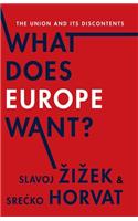 What Does Europe Want?