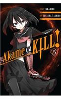 Akame Ga Kill!, Vol. 5: (Akame Ga Kill!)