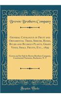 General Catalogue of Fruit and Ornamental Trees, Shrubs, Roses, Bulbs and Bulbous Plants, Grape Vines, Small Fruits, Etc., 1899: Grown and for Sale by Brown Brothers Company, Continental Nurseries, Rochester, N. Y (Classic Reprint)