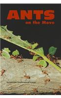 Ants on the Move