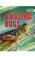 Amazing Bugs