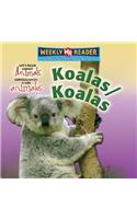 Koalas / Koalas