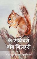 द ट्रैवल्स एंड एक्सट्राऑर्डिनरी एडवेंचर