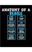 Anatomy of a Beagle