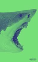 Shark: Great White Week Jaws Fish (Green) Daily Notebook Journal Diary Notepad