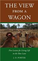 The View from a Wagon