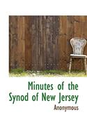Minutes of the Synod of New Jersey
