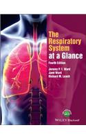 Respiratory System at a Glance