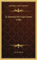 La Anatomia Del Corpo Umano (1586)