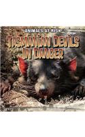 Tasmanian Devils in Danger