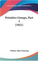 Primitive Groups, Part 1 (1921)