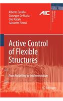 Active Control of Flexible Structures: From Modeling to Implementation