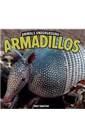 Armadillos