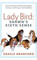 Lady Bird: Shawn's Sixth Sense: A special needs boy takes full advantage of his senses -- and his dog -- to live his life fully(English)