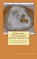 Afrikanische Weissbauchigel (Atelerix Albiventris): Exotische Igel als Heimtiere