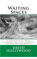 Waiting Spaces: A collection of poems describing our life's thoughts, feelings and experiences(English)