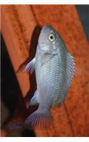 Cobalt Blue African Cichlid Metriclima Estherae Journal: Take Notes, Write Down Memories in this 150 Page Lined Journal