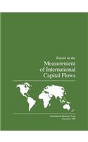 Report on the Measurement of International Capital Flows