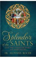 The Splendor of the Saints: Why They Dazzle the World and Shape History