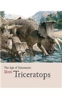 Meet Triceratops