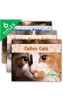 Cats Set 1 (Set)