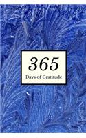 365 Days of Gratitude