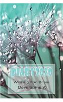 Diary2020 Writing for brain development