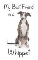 My best Friend is a Whippet