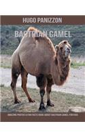 Bactrian Camel: Amazing Photos & Fun Facts Book about Bactrian Camel for Kids
