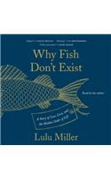 Why Fish Don't Exist