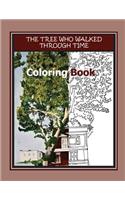 Tree Who Walked Through Time Coloring Book