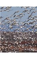 Seagulls Aloft Blank Book Lined Journal (8x10)