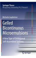 Gelled Bicontinuous Microemulsions: A New Type of Orthogonal Self-Assembled Systems(Springer Theses)