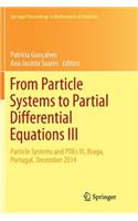 From Particle Systems to Partial Differential Equations III