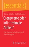 Grenzwerte Oder Infinitesimale Zahlen?