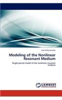 Modeling of the Nonlinear Resonant Medium
