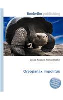 Oreopanax Impolitus: (English)