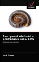 Asortyment wielkości u Centrobolus Cook, 1897