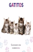 Calendario Gatitos 2024