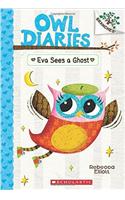 Owl Diaries #2: Eva Sees a Ghost (BRANCHES)