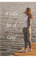 Little Bit of Grey