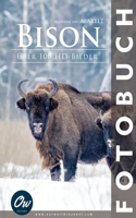 Bison: Fotobuch - Über 100 HD-Bilder