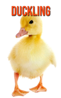 Duckling: Amazing Facts about Duckling