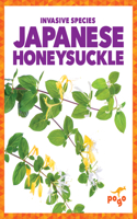 Japanese Honeysuckle